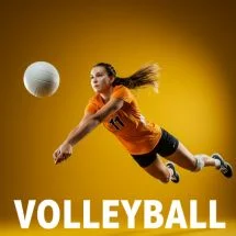 Volleyball z7live1 betting and gaming thrills